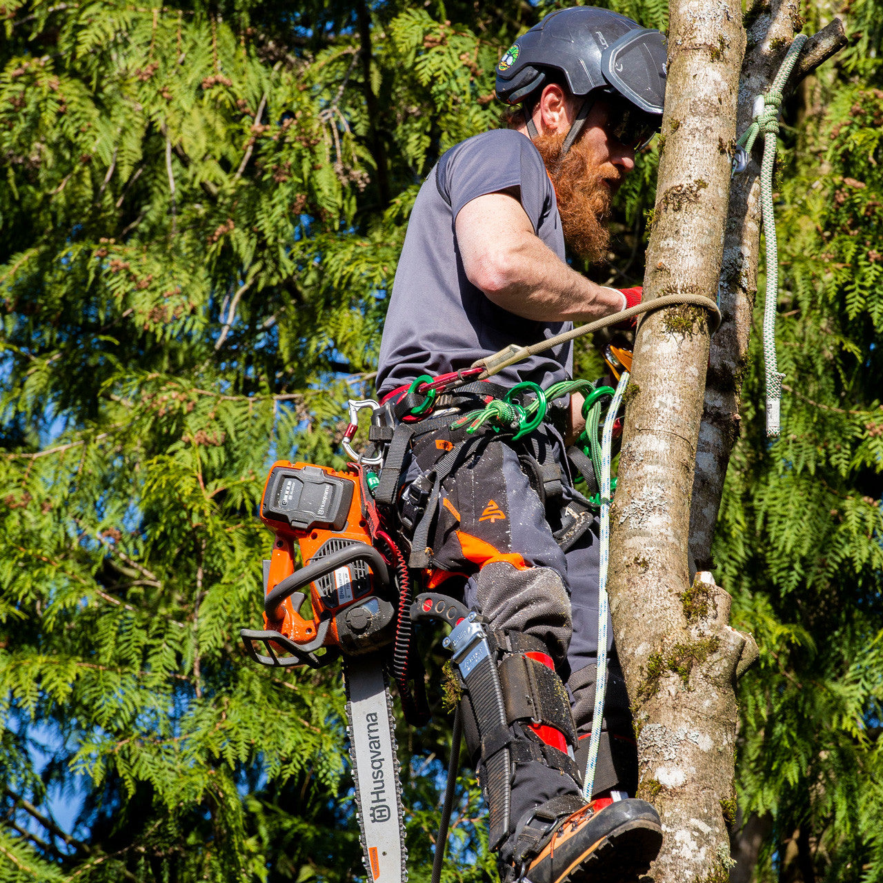 Clogger Ascend Gen2 Year Round Mid Weight Men's Arborist Chainsaw Pants