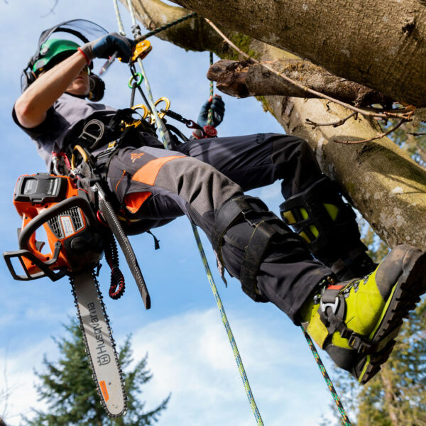 Clogger Ascend Women's Chainsaw Pants – Mid-Weight
